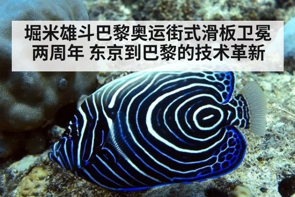 堀米雄斗巴黎奥运街式滑板卫冕两周年 东京到巴黎的技术革新