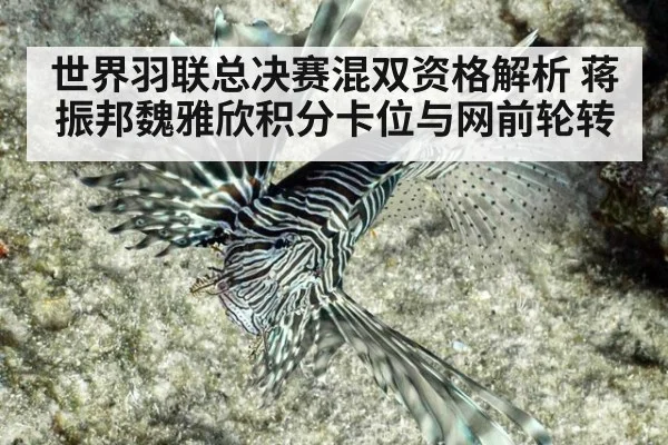 世界羽联总决赛混双资格解析 蒋振邦魏雅欣积分卡位与网前轮转